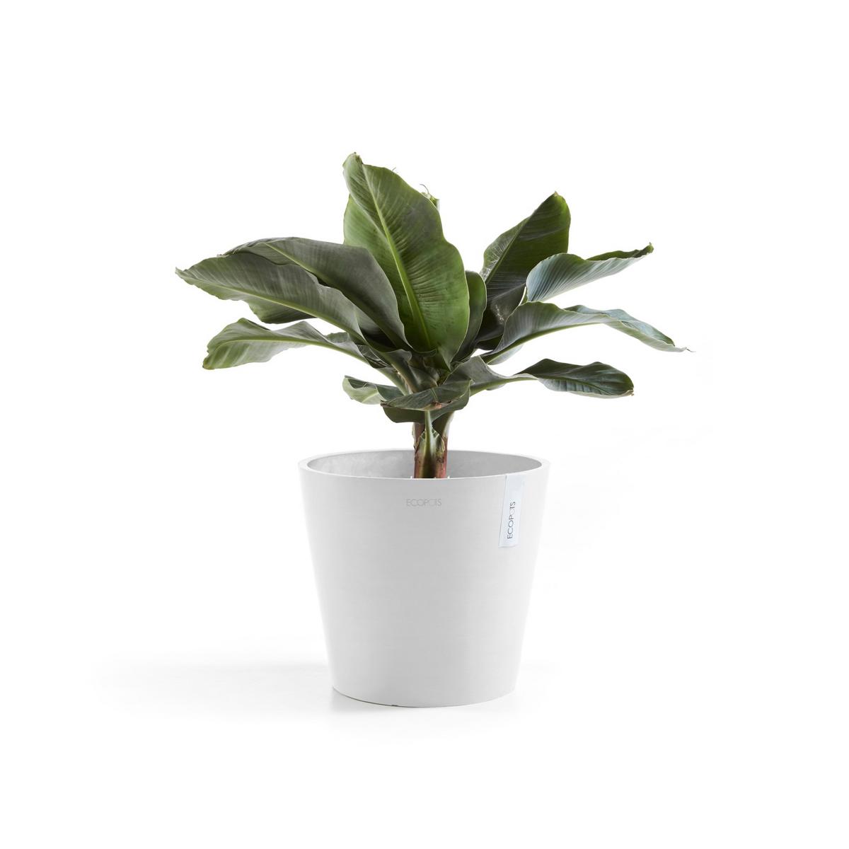 BLUMENTOPF Amsterdam 40/34,5 cm Weiß - Weiß, Kunststoff (40/34.5cm) - Ecopots