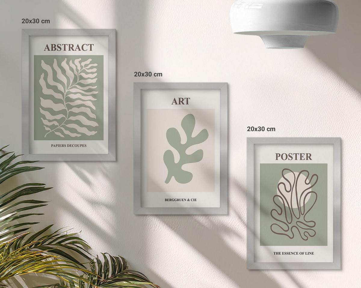 BILDER SET 3er Set - 20x30 cm Silberner Rahmen - Poster mit Pflanzenmustern von Matisse - Silberfarben, Kunststoff (20/30cm) - TULUP
