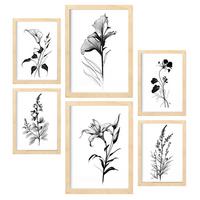 POSTER Set Mit 6 Ansteckblumen Natur Und Botanikdrucke Mit Blumenmotiven In Klassischem Schwarz Und Weiß A3 & A4 Rahmen Aus Hellem Holz - Beige, Papier (29/3cm) - Nacnic