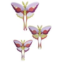 WANDDEKO Ätherisches Harmonie 8/20.5 cm - Multicolor, Wellpappe (8/20.5/19cm) - Studio Roof