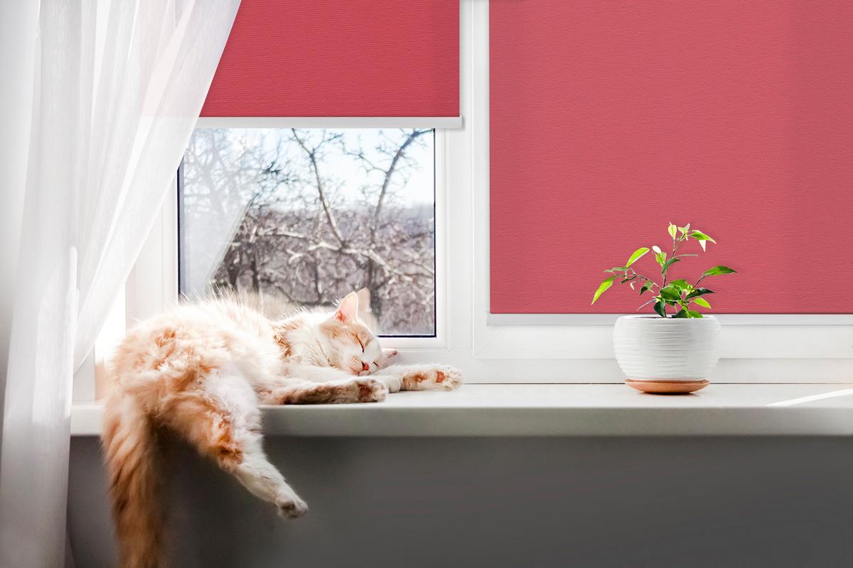 INNENROLLO - Fensterrollo - Rollo - 100x140 cm - Rot - Rot, Kunststoff (100/140/0.5cm) - TULUP