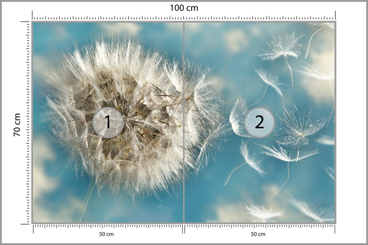 FOTOTAPETE für Schlafzimmer Löwenzahn im Wind Leicht Dynamisch 100x70 - Blau/Beige, Papier (100/70cm) - Muralo