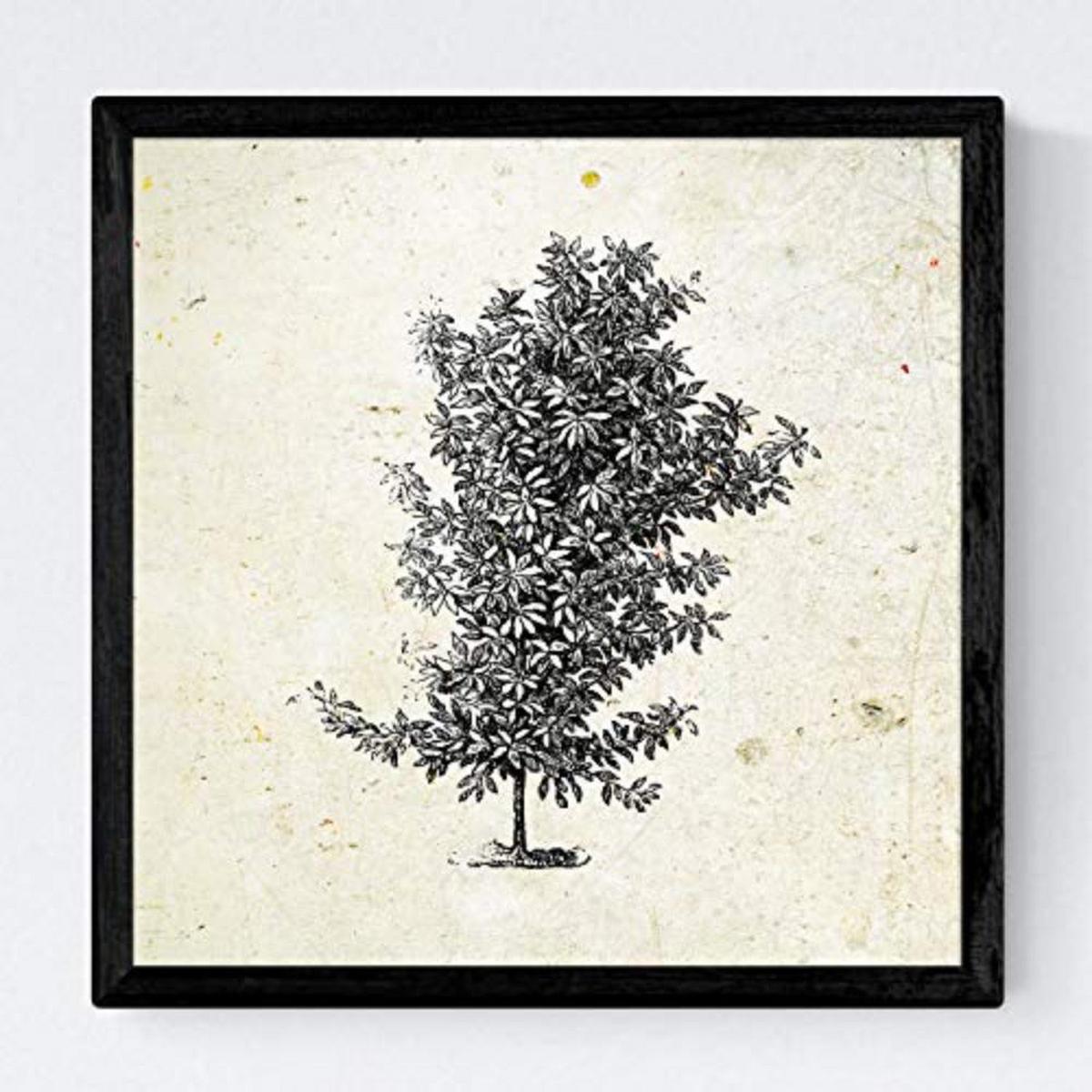 POSTER Set mit 4 Bädern Bäume miese Zweige Weinlese Altpapierhintergrund 30x30 cm Schwarzer Rahmen - Schwarz, Papier (30/3cm) - Nacnic
