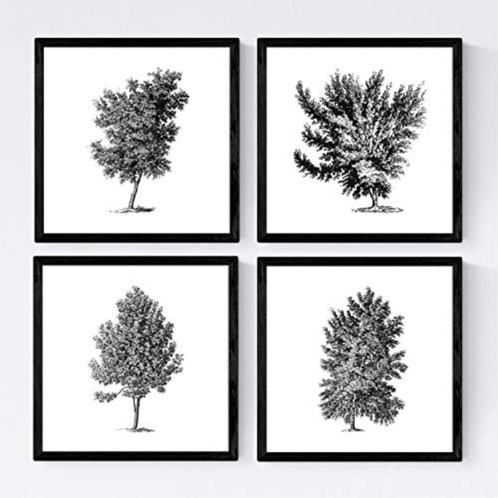 POSTER Set mit 4 Blättern der verschiedene Richtungen weiß Hintergrund 30x30 cm Rahmenlos - Klar, Papier (30/3cm) - Nacnic