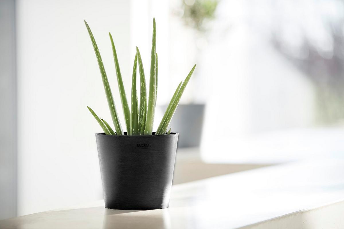 BLUMENTOPF Amsterdam 17/14,7 cm Dunkelgrau - Dunkelgrau, Kunststoff (17/14.7cm) - Ecopots