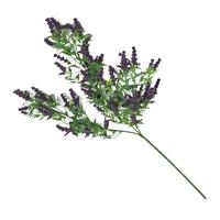 DEKOZWEIG Wilder Lavendel, 69 cm - Violett, Kunststoff (69cm) - Homescapes