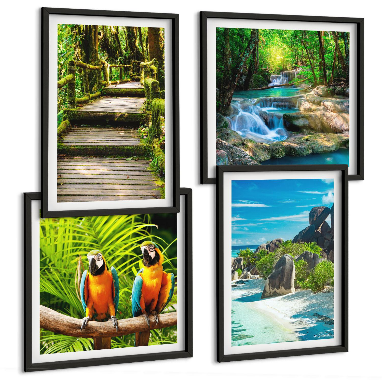 BILDER SET 4er Set - 50x50 cm & 40x60 cm Schwarzer Rahmen - Tropischer Wald Papageienwasserfall - Schwarz, Kunststoff (50/50cm) - TULUP
