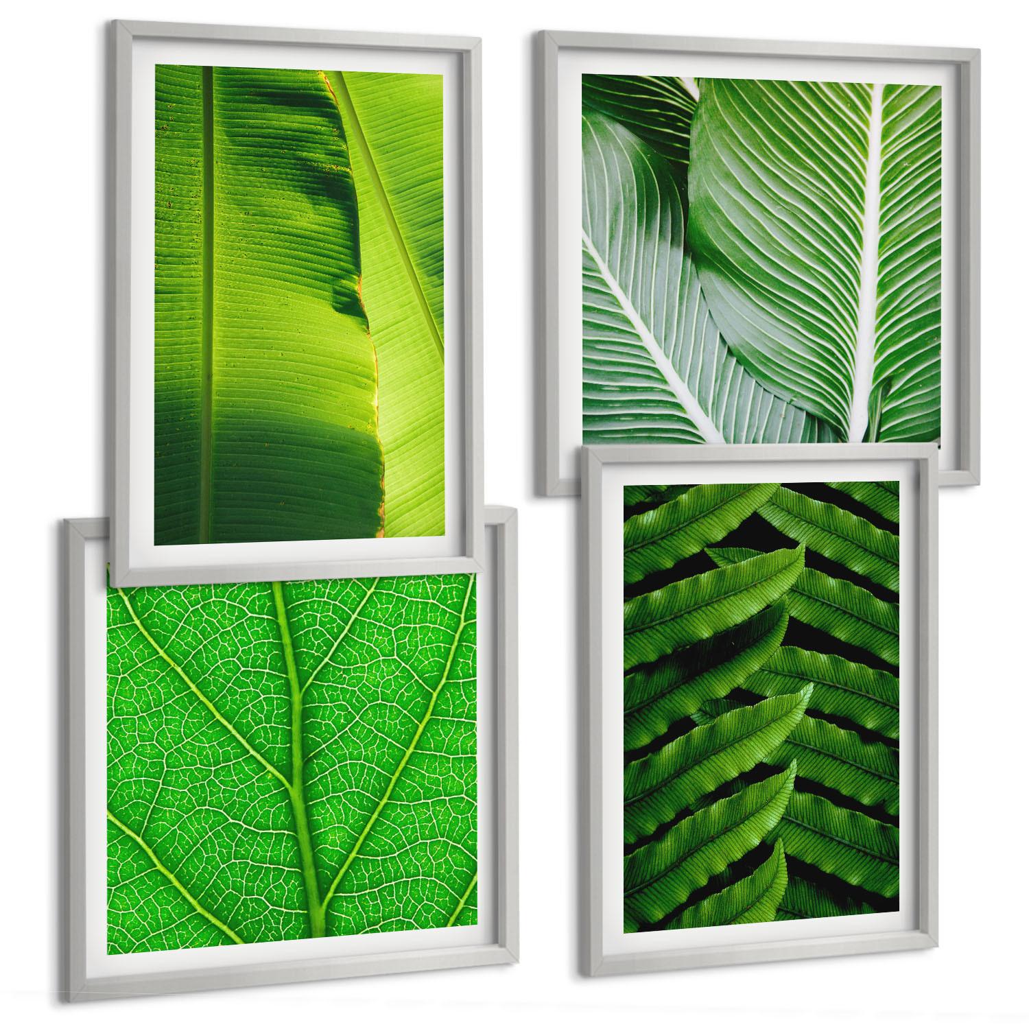 BILDER SET 4er Set - 50x50 cm & 40x60 cm Silberner Rahmen - Nahaufnahme von tropischen Blättern - Silberfarben, Kunststoff (50/50cm) - TULUP