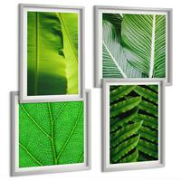 BILDER SET 4er Set - 50x50 cm & 40x60 cm Silberner Rahmen - Nahaufnahme von tropischen Blättern - Silberfarben, Kunststoff (50/50cm) - TULUP