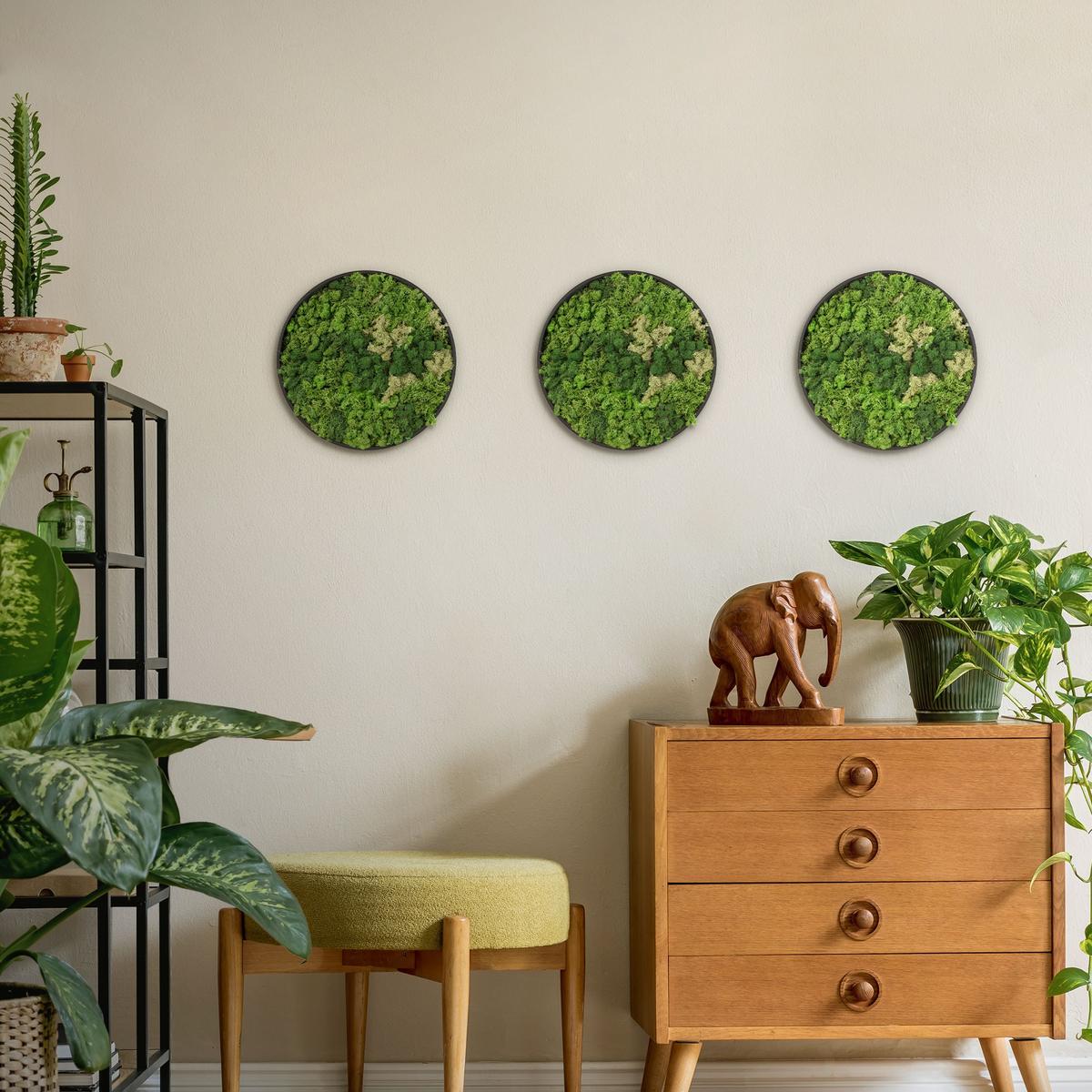 MOOSBILD Rund Ø 30 cm Mooswand Indoor mit Echtem Islandmoos und Holzrahmen Grün Pflegefrei - Salbeigrün, Naturmaterialien (30/30/3cm) - ECD-Germany
