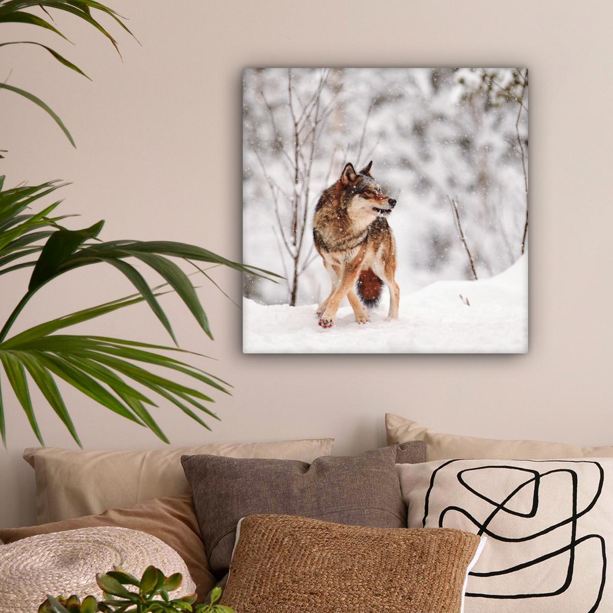 LEINWANDBILD Wolf - Winter - Schnee - Natur - Tiere Wandbild Wohnzimmer 50x50 cm - Haselnussfarben, Textil (50/50cm) - MuchoWow