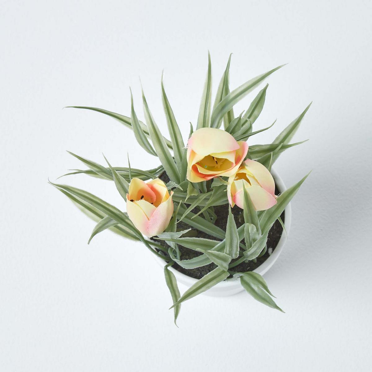 KUNSTBLUMEN Tulpen rosa-apricot im Blumentopf, 22 cm - Creme, Kunststoff (22cm) - Homescapes