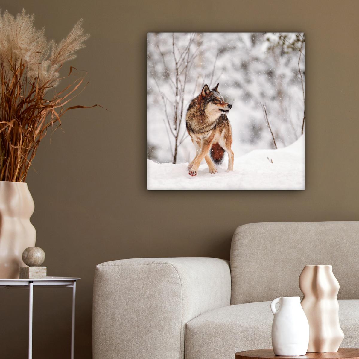 LEINWANDBILD Wolf - Winter - Schnee - Natur - Tiere Wandbild Wohnzimmer 50x50 cm - Haselnussfarben, Textil (50/50cm) - MuchoWow