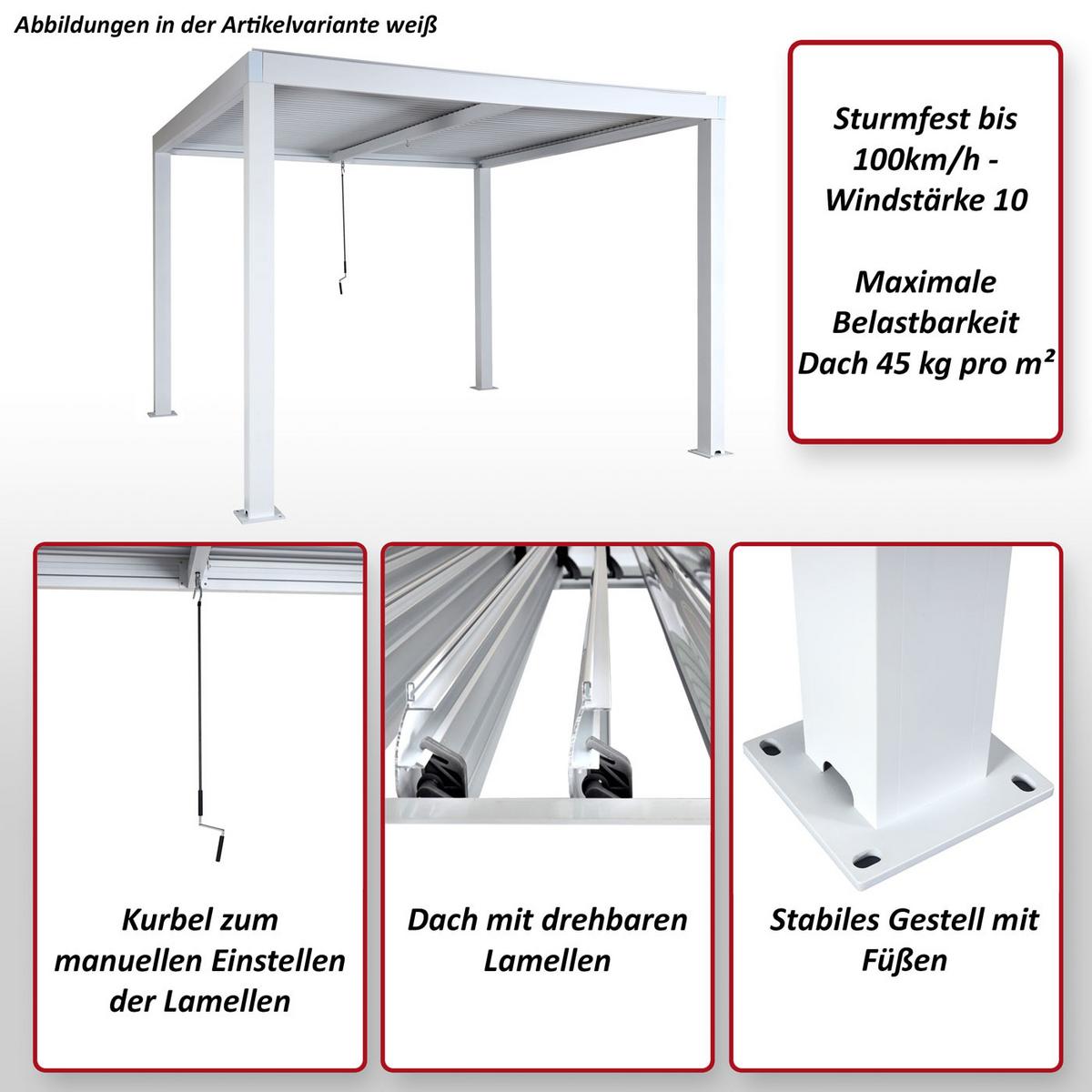 PERGOLA Anthrazit - Anthrazit, Metall (400/220/300cm) - MCW
