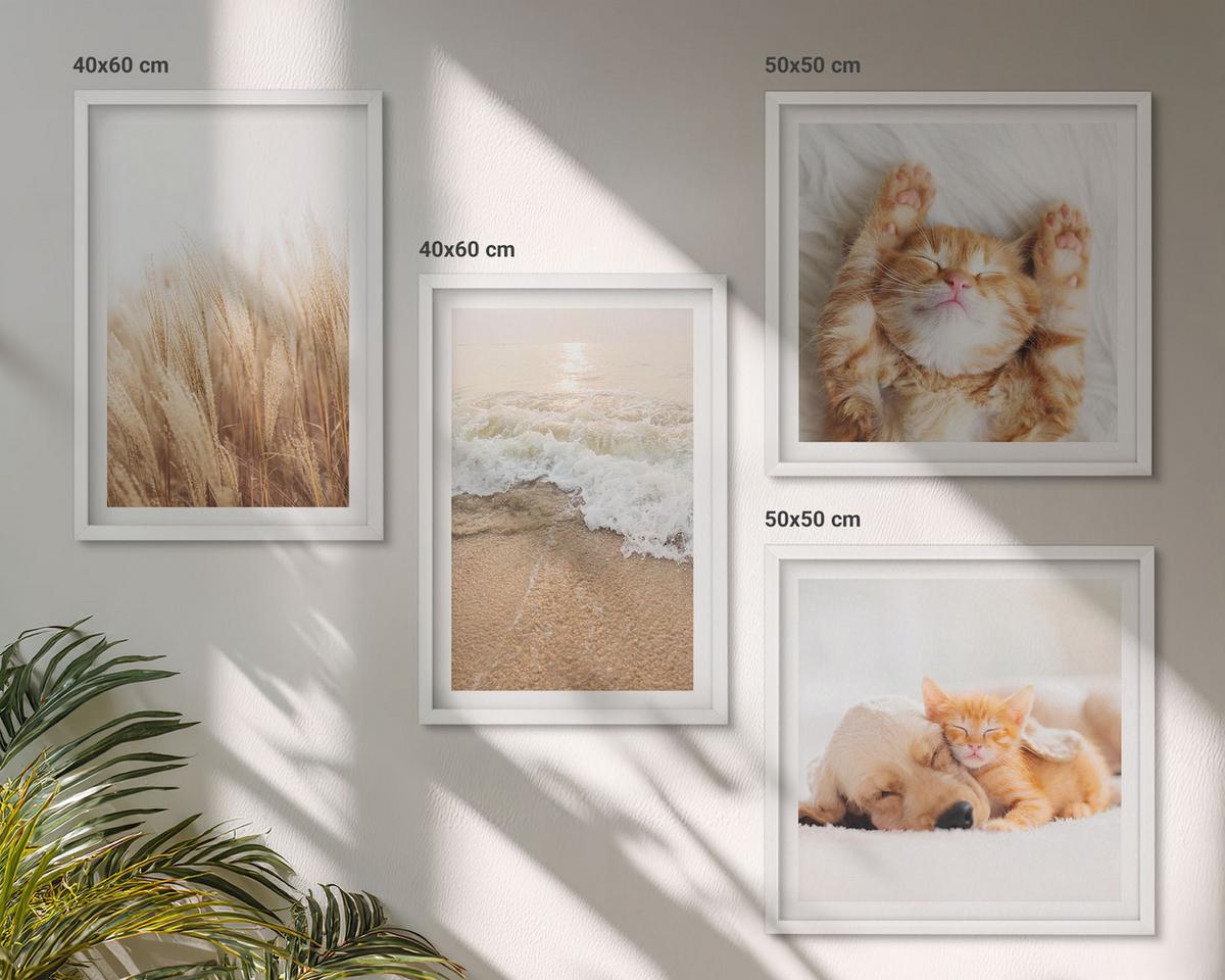 BILDER SET 4er Set - 50x50 cm & 40x60 cm Weißer Rahmen - Niedliche Tiere, Katzen, Hunde, Strand - Weiß, Kunststoff (50/50cm) - TULUP