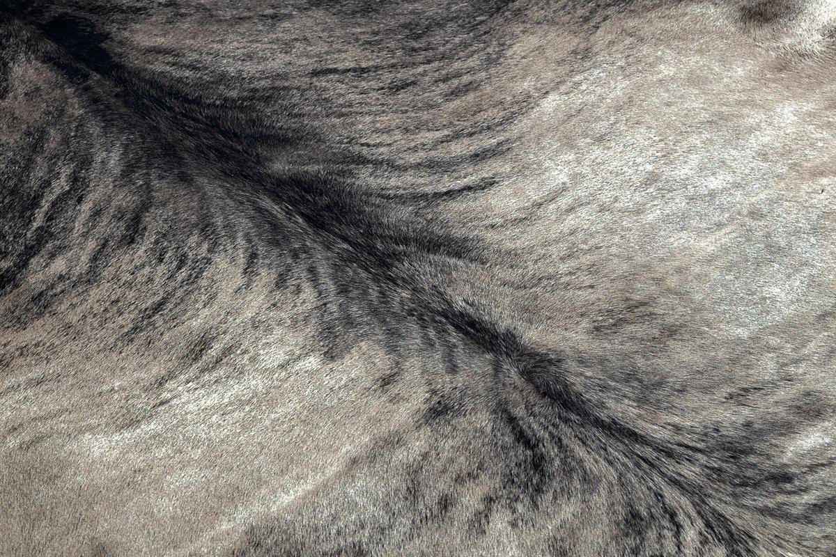 TEPPICH Künstliches Rindsleder 100/150 cm - Grau, Textil (100/150cm) - rugsX