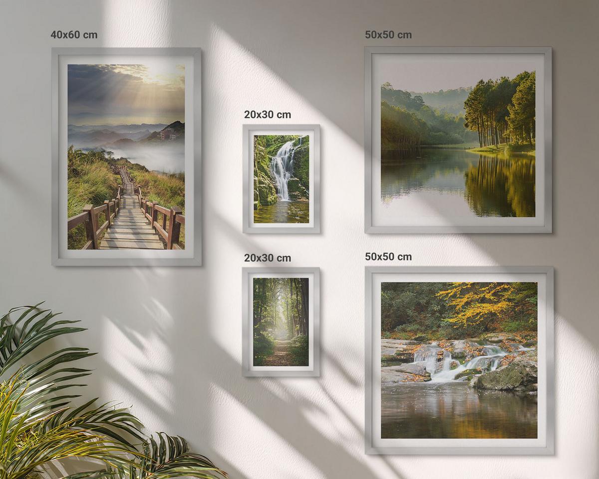 BILDER SET 5er Set - 50x50 cm & 20x30 cm & 40x60 cm Silberner Rahmen - Grüne Blätter von eleganten Sukkulenten - Silberfarben, Kunststoff (40/60cm) - TULUP
