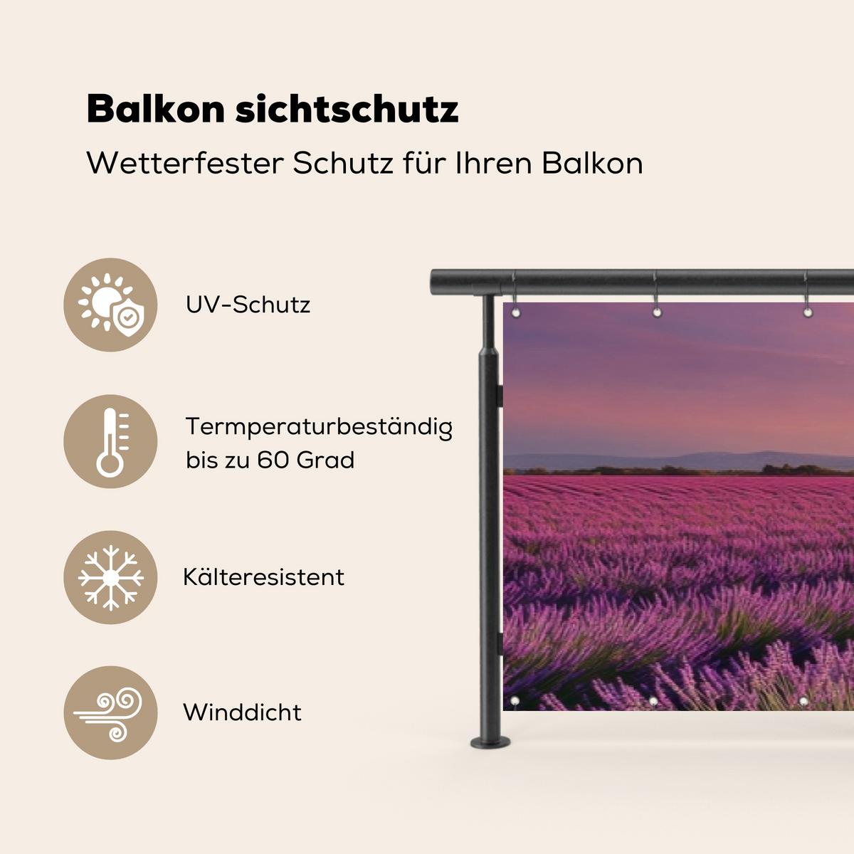 BALKON-SICHTSCHUTZ Lavendelfeld - Sonnenuntergang - Lila - Blumen Groß 500x80 cm - Violett, Kunststoff (500/80cm) - MuchoWow