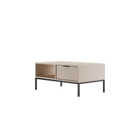 COUCHTISCH Austin 60/45/100 - Kaschmir/Schwarz, Holzwerkstoff (100/60/45cm) - RAUMHIRSCH FURNITURE