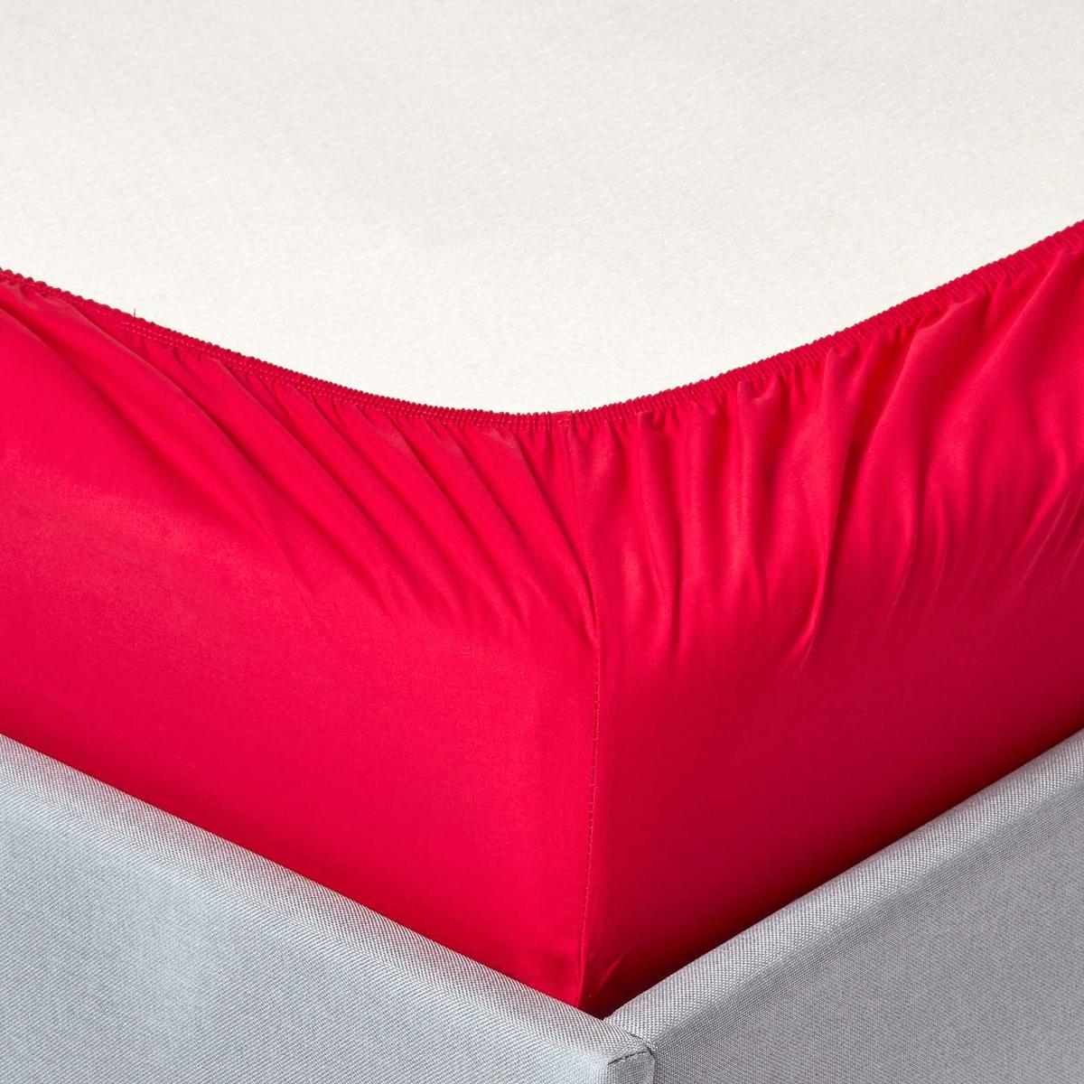 PERKAL-SPANNBETTLAKEN, Ägyptische Baumwolle, Fadendichte 200 - Rot, Textil (120/190cm) - Homescapes