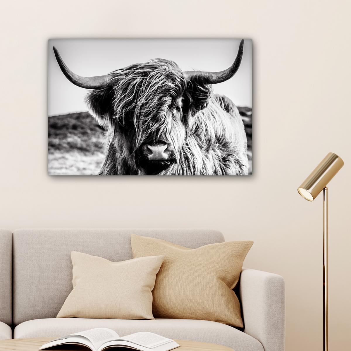 LEINWANDBILD Kuh - Schottischer Hochländer - Schwarz - Weiß - Tier - Natur - Wildtiere Gemälde 60x40 cm - Schwarz, Textil (60/40cm) - MuchoWow