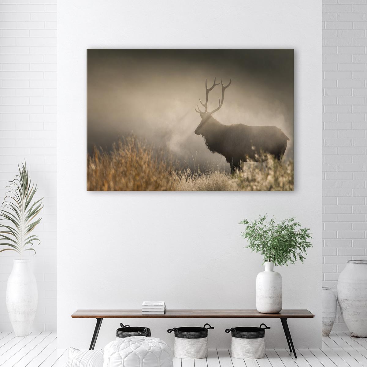 WANDBILD hirsch in der nebel natur - Beige, Textil (60/40cm) - Feeby