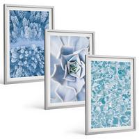 BILDER SET 3er Set - 40x60 cm Silberner Rahmen - Winterwald blaue Blume Wasser - Silberfarben, Kunststoff (40/60cm) - TULUP