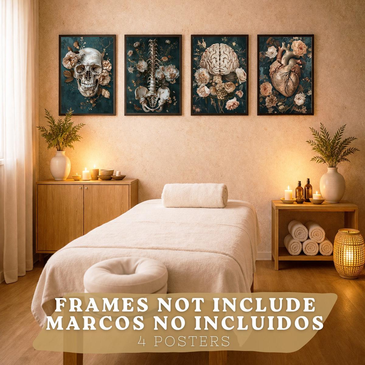 POSTER Set aus 4 Anatomie Drucke und Wandbilder mit Schädel Herz Gehirn Wirbelsäule Skelett Becken Klassisches Florales Design Größe Rahmenlos A4 - Klar, Papier (21/29.7/3cm) - Nacnic