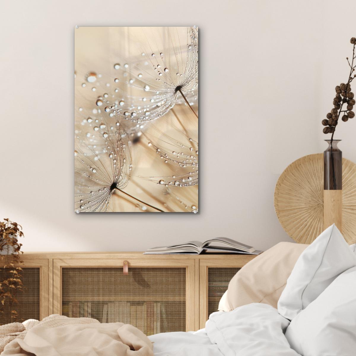 ACRYLGLASBILD Löwenzahn - Abstrakt - Natur - Beige Wanddeko Wohnzimmer 40x60 cm - Braun, Glas (40/60cm) - MuchoWow