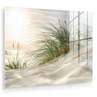 ACRYLGLASBILD Dünen mit Strandhafer in der Sonne des Nationalparks Schleswig-Holsteinisches Wattenmeer 80x60 cm - Creme, Glas (80/60cm) - MuchoWow