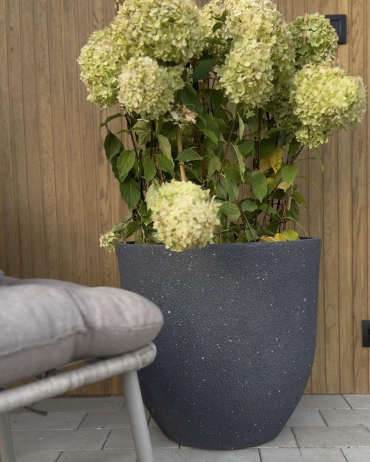 BLUMENTOPF graphitgrau rund 55/55/53 cm Kannia - Grau, Naturmaterialen (53cm) - Beliani