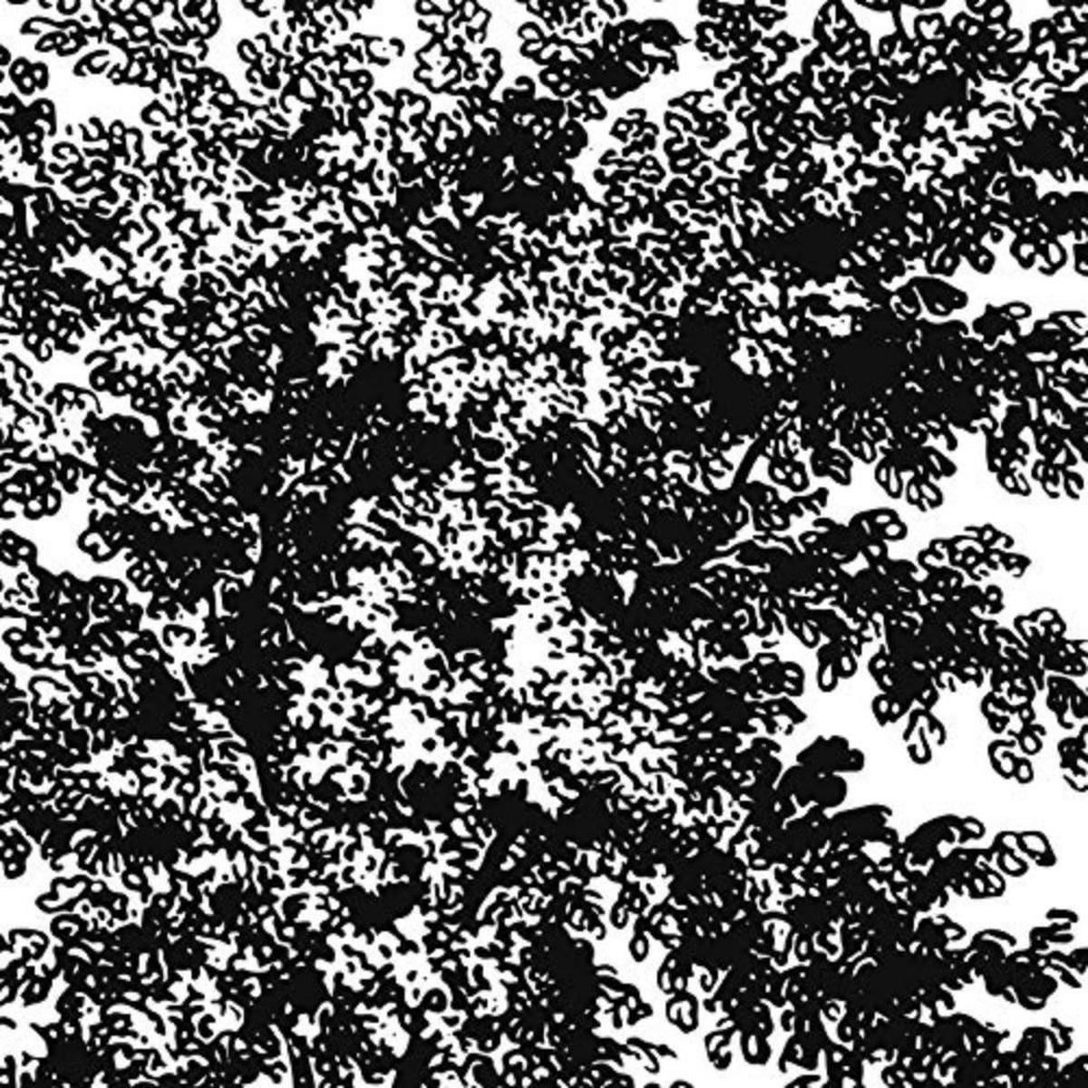 POSTER Set mit 4 Blättern der Laubbäume weiß 20x20cm Schwarzer Rahmen - Schwarz, Papier (20/3cm) - Nacnic
