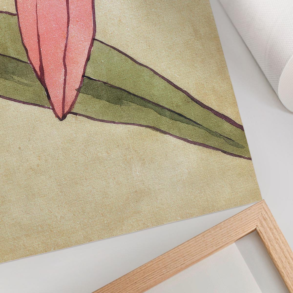 POSTER - 84x59 cm (A1) - Hannah Borger Overbeck - Amaryllis - Grün, Textil (84/59.4/0.1cm) - TULUP