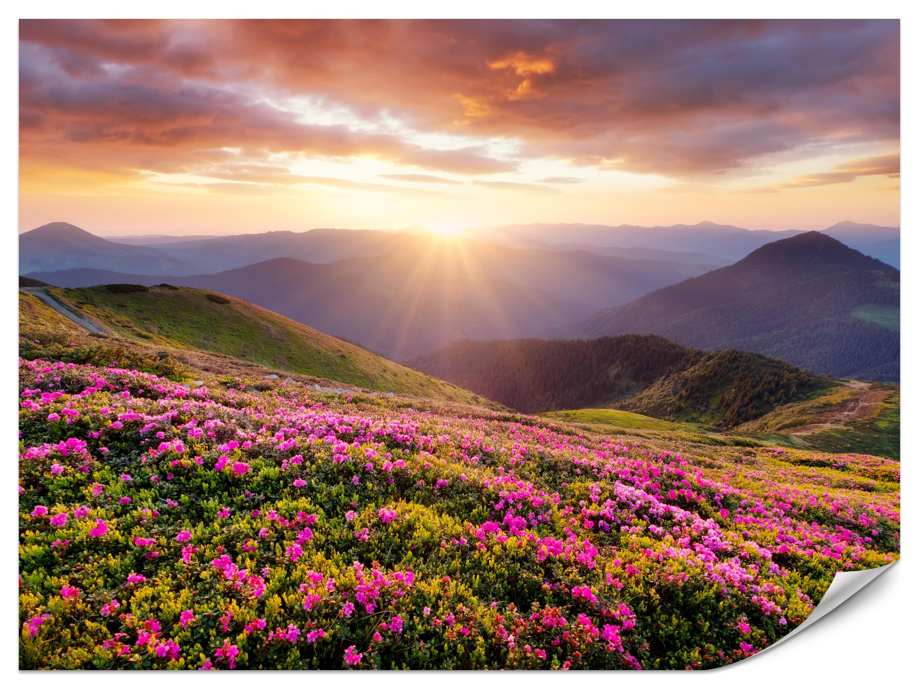 FOTOTAPETE für Wohnzimmer Sonnenuntergang Berge Wiese Blumen 400x280 - Violett/Rosa, Papier (400/280cm) - Muralo