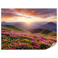 FOTOTAPETE für Wohnzimmer Sonnenuntergang Berge Wiese Blumen 400x280 - Violett/Rosa, Papier (400/280cm) - Muralo