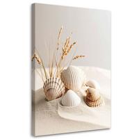 LEINWANDBILD Muscheln Pflanzen Natur Boho 60x90cm - Beige, Textil (60/90cm) - Feeby