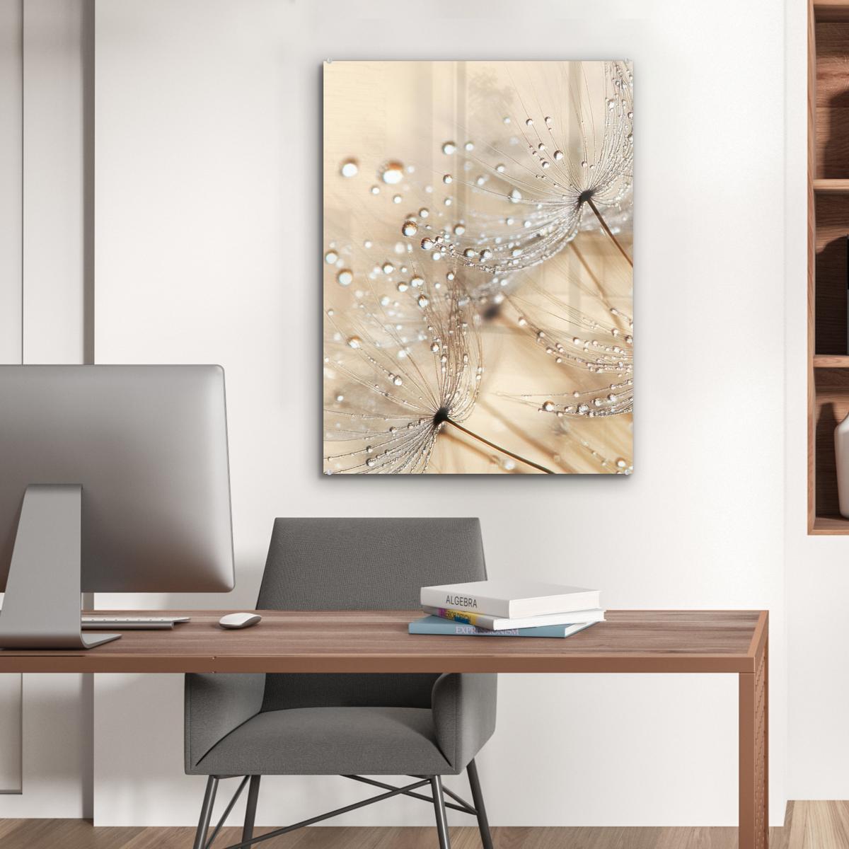 ACRYLGLASBILD Löwenzahn - Abstrakt - Natur - Beige 60x80 cm - Braun, Glas (60/80cm) - MuchoWow