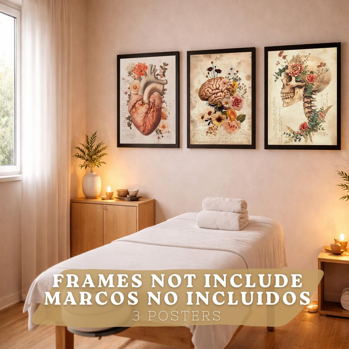 POSTER Set aus 3 Anatomie Mensch Drucke und Wandbilder mit Herz Gehirn und Schädel Vintage Floraler Stil Wanddekoration Größe Rahmenlos A3 - Klar, Papier (29.7/42/3cm) - Nacnic
