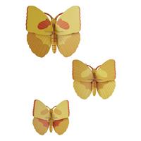 WANDDEKO Bernstein-Trio 7.5/16.5 cm - Multicolor, Wellpappe (7.5/16.5/17cm) - Studio Roof