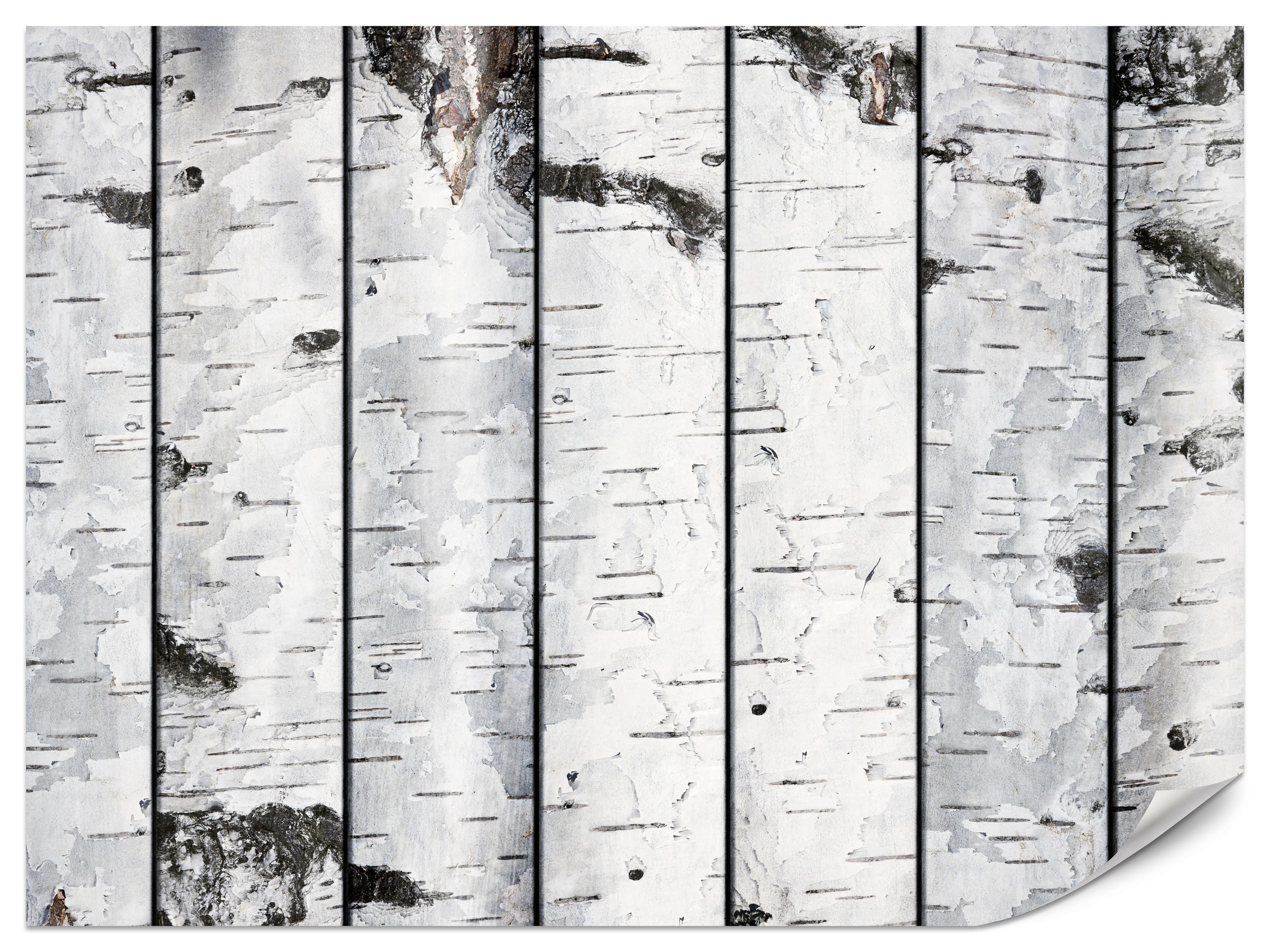 FOTOTAPETE für Schlafzimmer Birkenrinden Imitation Weiß Baum 300x210 - Schwarz/Weiß, Papier (300/210cm) - Muralo