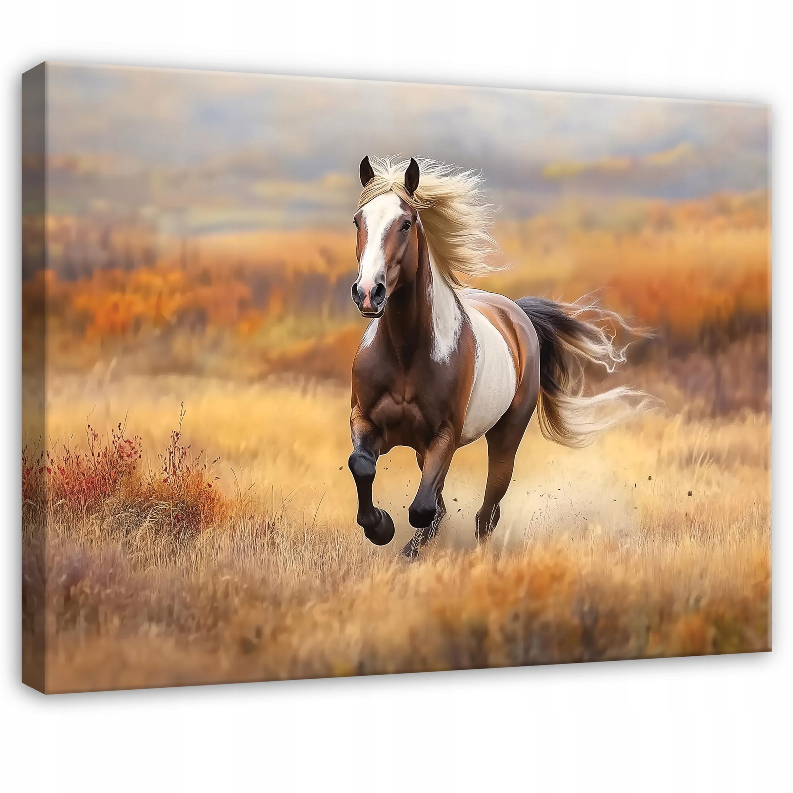 WANDBILD Pferde Tiere Wohnzimmer 100x70 - Multicolor, Holzwerkstoff (100/70cm) - Wallarena