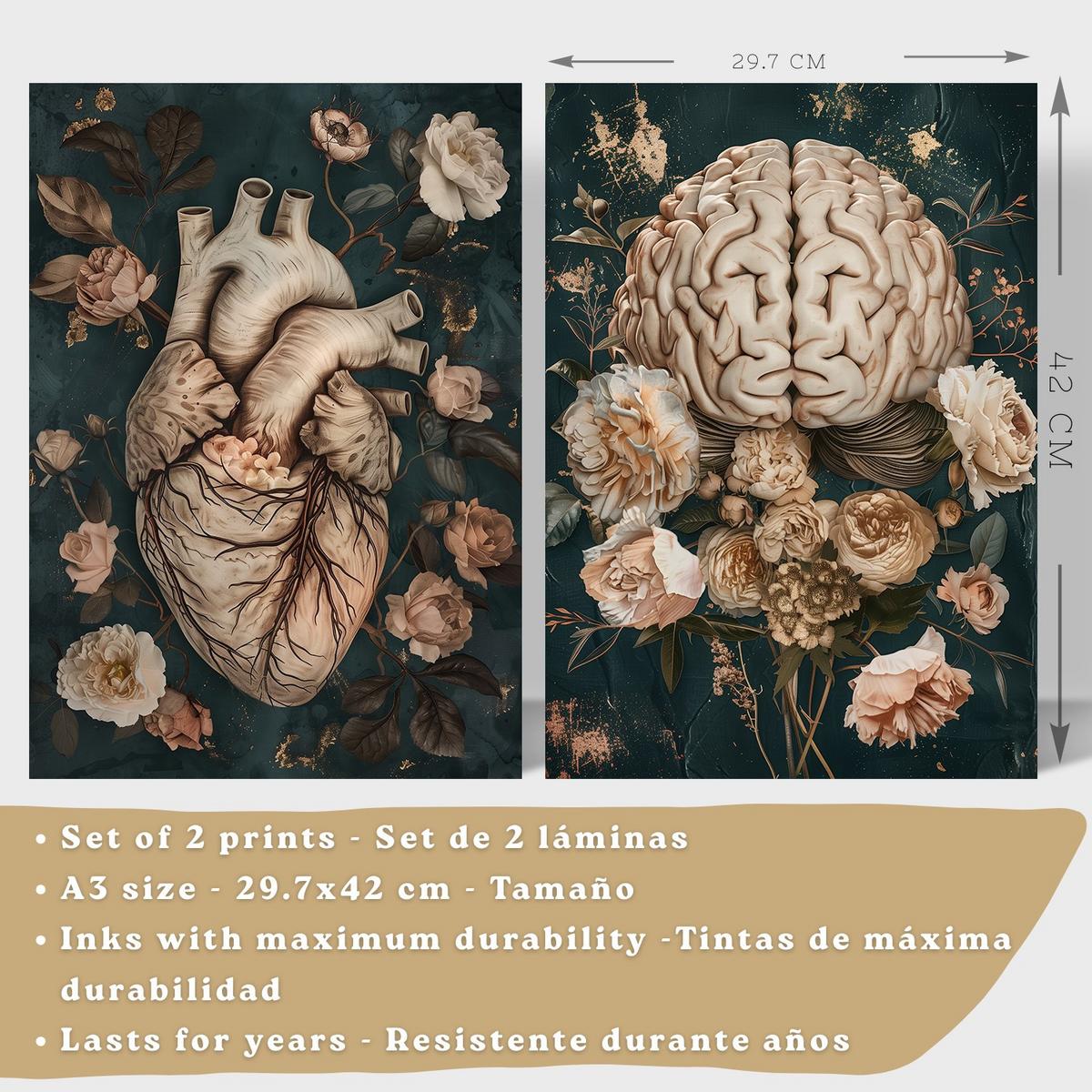 POSTER Set aus 2 Anatomie Mensch Drucke und Wandbilder mit Herz und Gehirn Elegante Florale Illustration Grüner Hintergrund Größe Schwarzer Rahmen A3 - Schwarz, Papier (29.7/42/3cm) - Nacnic