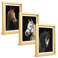 BILDER SET 3er Set - 20x30 cm Goldrahmen - Porträts von Pferden in verschiedenen Fellfarben - Goldfarben, Kunststoff (20/30cm) - TULUP