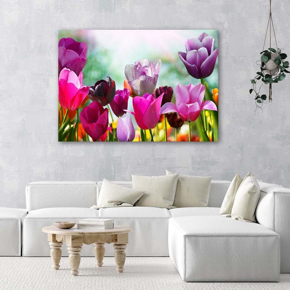LEINWANDBILD Bunte Tulpen auf einer Wiese 60x40cm - Rosa, Textil (60/40cm) - Feeby