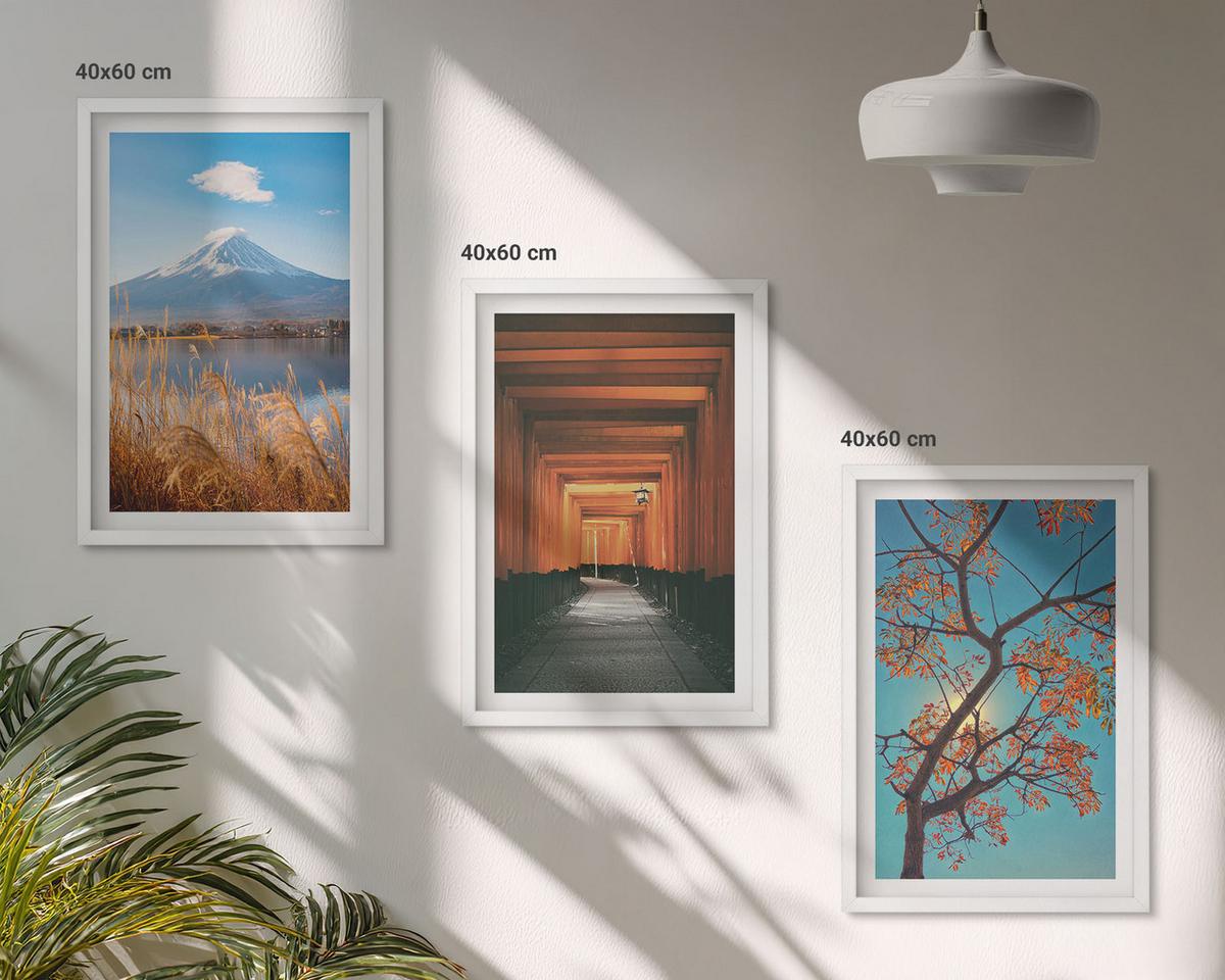 BILDER SET 3er Set - 40x60 cm Weißer Rahmen - Japanische Naturlandschaften - Weiß, Kunststoff (40/60cm) - TULUP