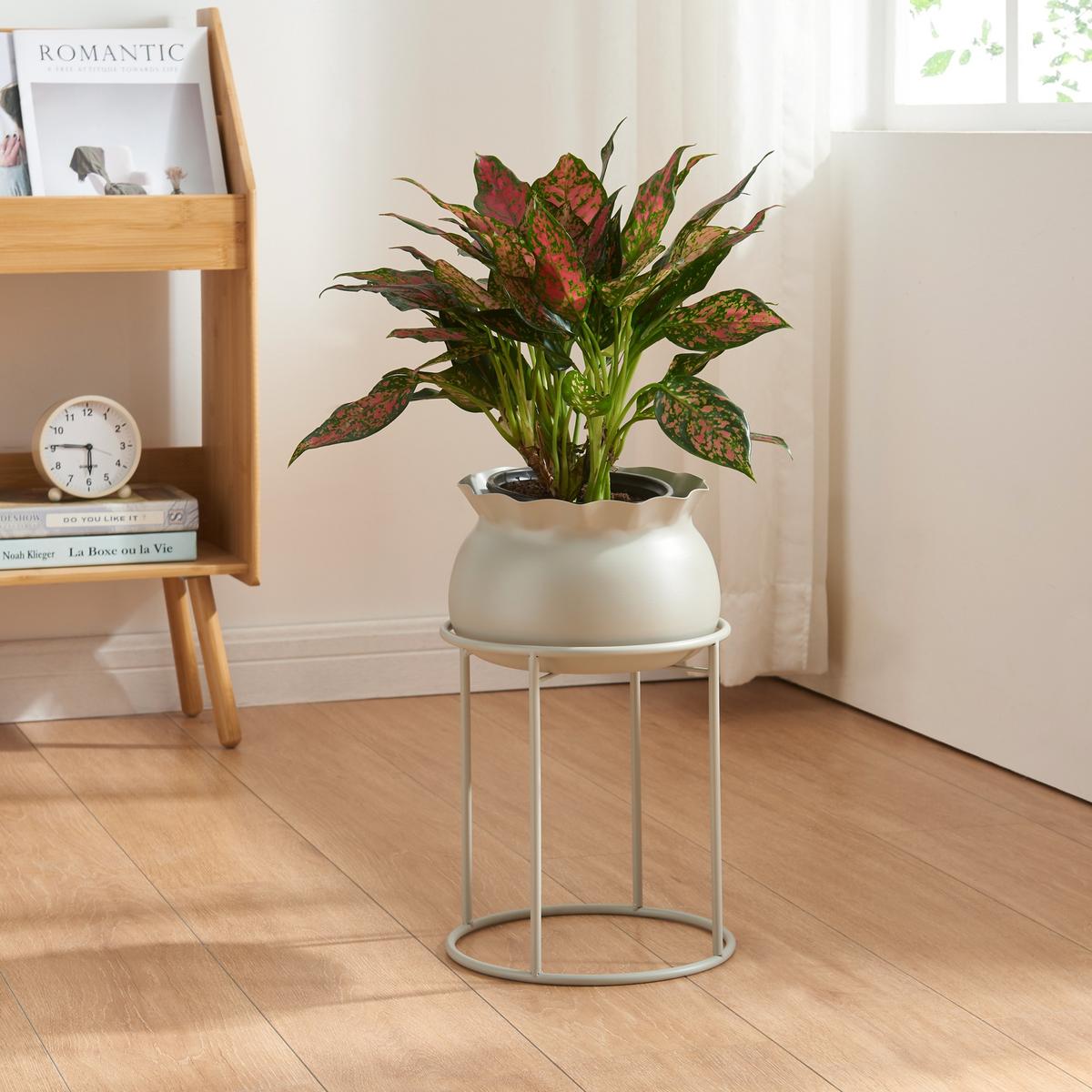 BLUMENSTÄNDER Assen - Hellgrau, Metall (23.5/23.5/38cm) - [en.casa]