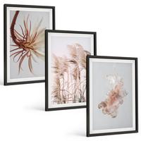 BILDER SET 3er Set - 40x60 cm Schwarzer Rahmen - Set aus Gras, Blumen und hellem Hintergrund - Schwarz, Kunststoff (40/60cm) - TULUP