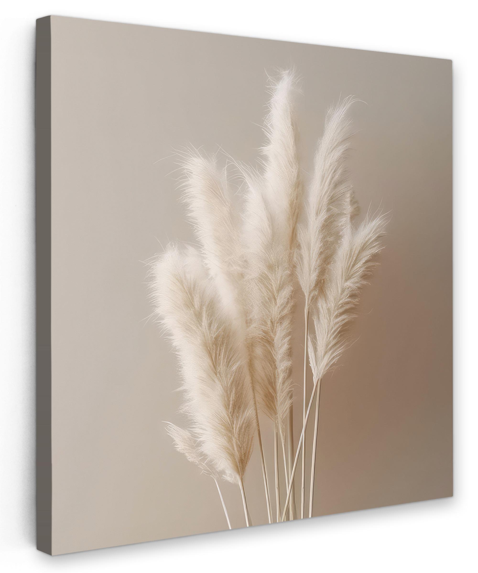 LEINWANDBILD Pampasgras - Federn - Pastell - Weiß Wandbild Wohnzimmer 50x50 cm - Naturfarben, Textil (50/50cm) - MuchoWow