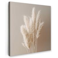 LEINWANDBILD Pampasgras - Federn - Pastell - Weiß Wandbild Wohnzimmer 50x50 cm - Naturfarben, Textil (50/50cm) - MuchoWow
