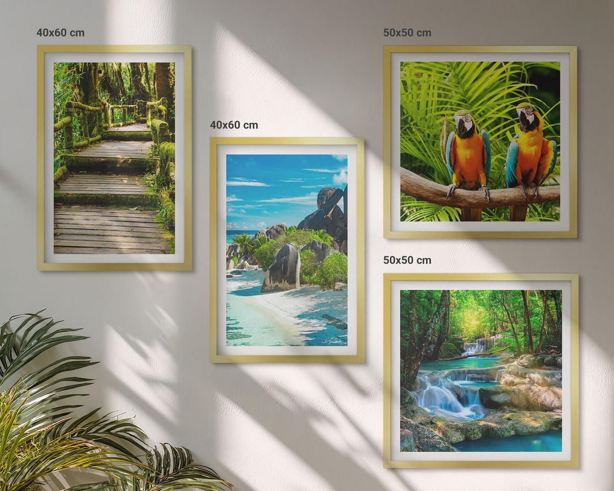 BILDER SET 4er Set - 50x50 cm & 40x60 cm Goldrahmen - Tropischer Wald Papageienwasserfall - Goldfarben, Kunststoff (50/50cm) - TULUP
